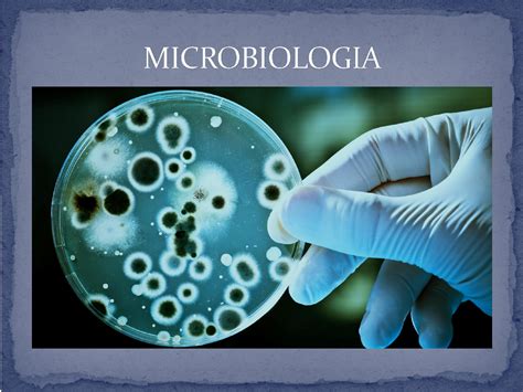 Slide De Microbiologia Microbiologia