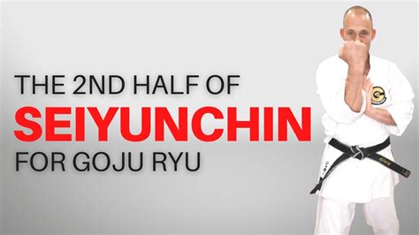 Goju Ryu Seiyunchin Kata Basics Part 2 Youtube