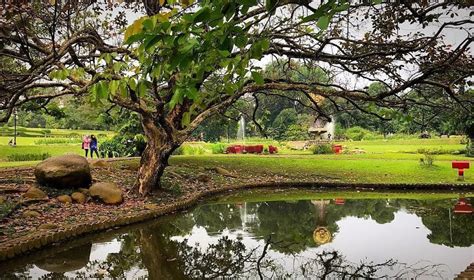 Kebun raya batam seluas 85.662ha hanya. Sekilas Informasi Wisata Kebun Raya Bogor Jawa Barat