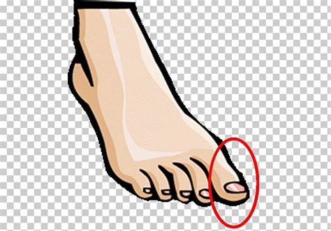 Human Foot Clipart