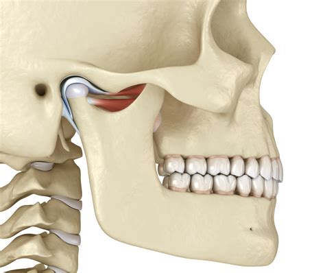Tmdtmj Lets Jaw About Jaws Pain Care Clinic Ltd