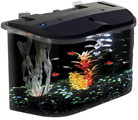 Best Acrylic Fish Tanks That Money Can Buy In 2016