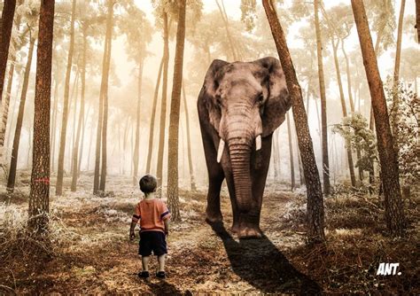 Child And Elephant
