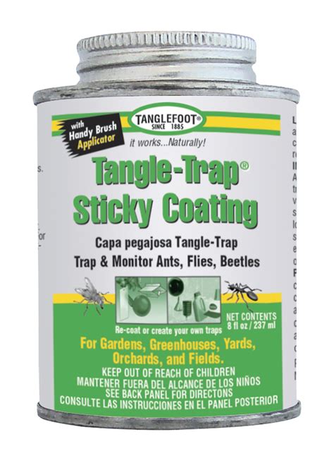 Buy Tanglefoot Tangle Trap Sticky Coating Can With Brush Cap 8 Oz