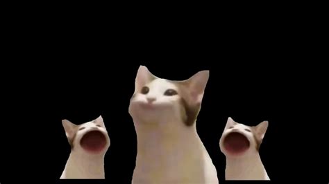 Pop Cat Meme Wallpaper Popcat  Popcat Discover Share S Tons