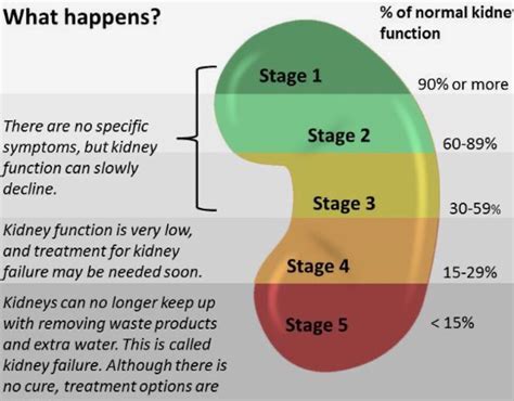 Kidney Stages In 2021 Kidney Disease Awareness Kidney Health Kidney