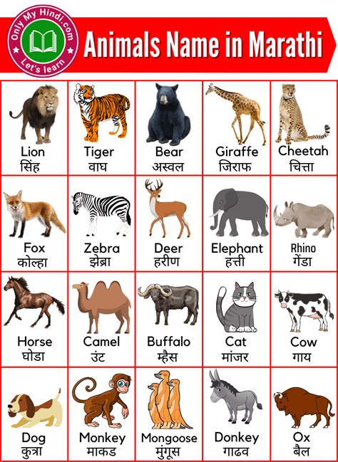 50 Animals Name In Marathi प्राण्यांची नावे मराठीमध्ये Onlymyhindi