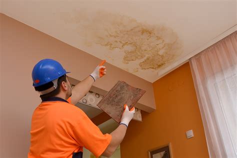 A leak from a heating appliance, plumbing leak or water which has come through the ceiling. Water Stains on the Ceiling: Common Causes and Solutions ...