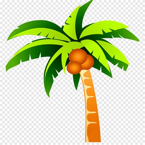 Kokosová Palma Rostlina Kokosového Stromu Reklamní šablony Návrhů