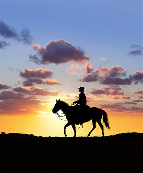 Cowboy Horse Silhouette Sunset Stock Photos Pictures And Royalty Free
