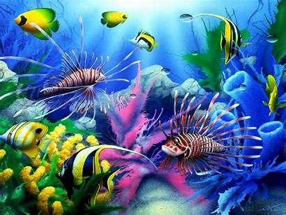 Fish Colorful Tropical Desktop Coral Sea Seabed