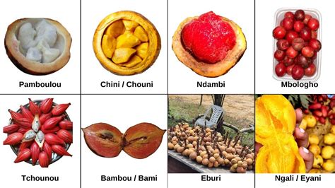 Fruits Du Gabon Fruit Bio Fruit Africain Gastronomie