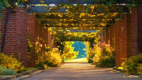 A chicago institution for more than a century, the conservatory's main garden blooms with more than 40,000 annuals. Chicago Botanic Garden | Enjoy Illinois