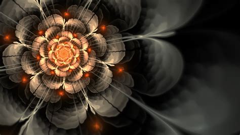 Digital Art Fractal Flowers Abstract Fractal Wallpapers Hd Desktop