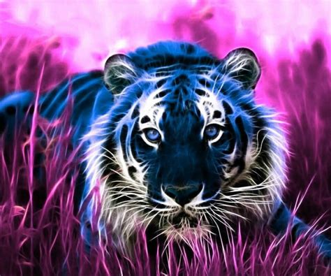Beautiful Tiger Tiger Wallpaper Tiger Images Tiger Pictures
