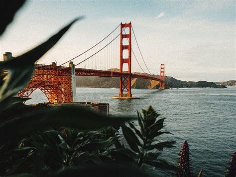 Le Migliori 10 Cose Da Vedere E Fare A San Francisco 2024