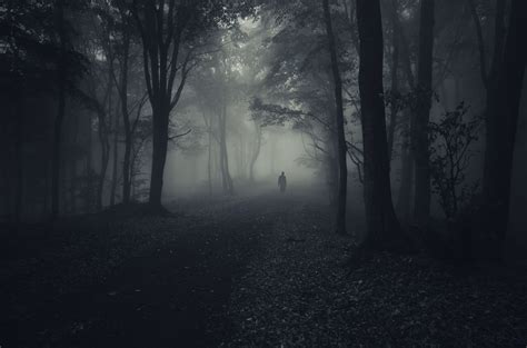 Dark Forest With Spooky Man Walking On A Path Elsa Holland