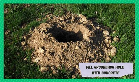 How To Fill Groundhog Hole With Concrete Farmer Grows