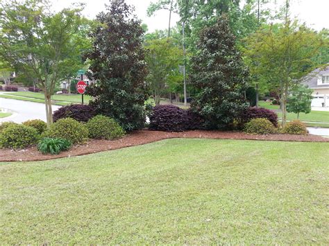 Corner Lot House Landscaping Ideas Full Grown Journal Pictures Library