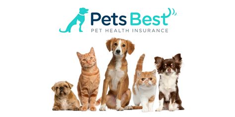 Aspca pet health insurance 7. Best Pet Insurance Reviews (2019 Update) - 365 Pet Insurance