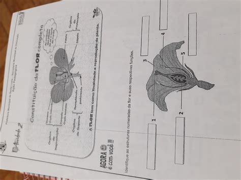 Analise A Figura A Seguir