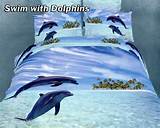 To Swim With Dolphins Images