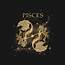 Pisces Zodiac Sign  Signs T Shirt TeePublic