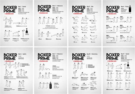 Boxer Prime In 2023 Boxing Workout Boxer Workout Boxing Training