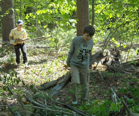 Faça sua escolha entre diversas cenas semelhantes. CBS students help clear brush in Village Woods | Daily Bulldog