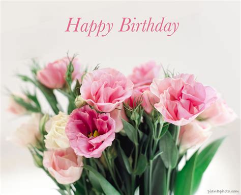 Happy Birthday Flowers Pictures Free Download Cdb Happy Postcards For