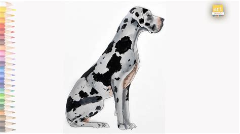 Great Dane Drawing Painting Easy How To Draw A Great Dane Step By