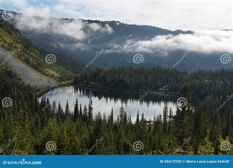 Scenic View Of Reflection Lake In Mount Rainier Stock Photo Image Of