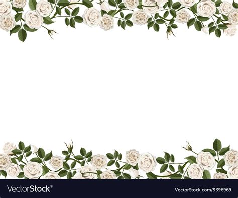 Border Of White Roses Royalty Free Vector Image