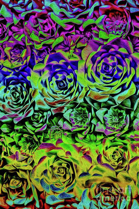 Psychedelic Flower Rows Photograph By Sandy Moulder