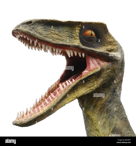 Modell des großen T Rex Dinosaurier mit einem großen offenen Mund und
