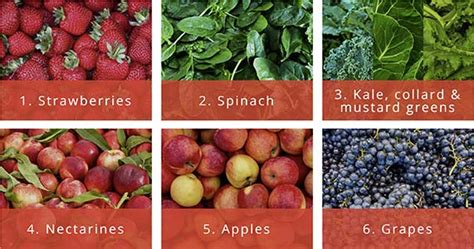 Optimal Daily Intake Of Berries Absurdly Healthy Myhealthsciences