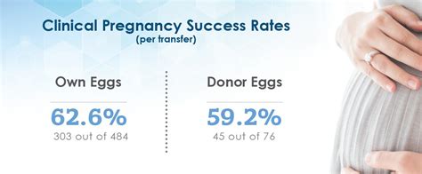 Ivf Success Rates The Reproductive Medicine Group