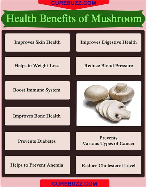 10 Health Benefits Of Mushroom Curebuzz