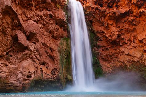 Mooney Falls Grand Canyon Arizona Photos By Ron Niebrugge