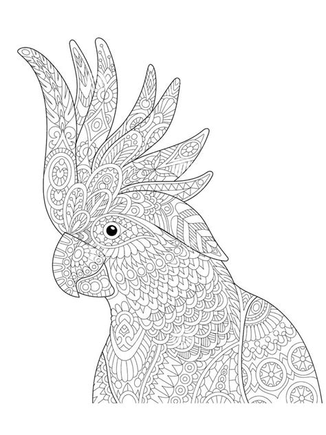 Https://favs.pics/coloring Page/a Lion With A Zebra Coloring Pages