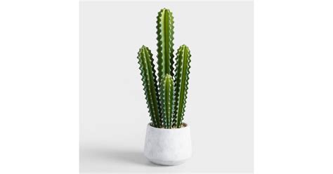 The optimal temperature for cacti during winter is 50 ° f. Faux Potted Senita Cactus | Best Fake Plants That Look ...