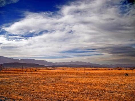 The great plains of the united states of america consist primarily of wide open grasslands between the rocky mountains and the forests of the midwest. The Great Plains: Climate, Location, Animals and ...