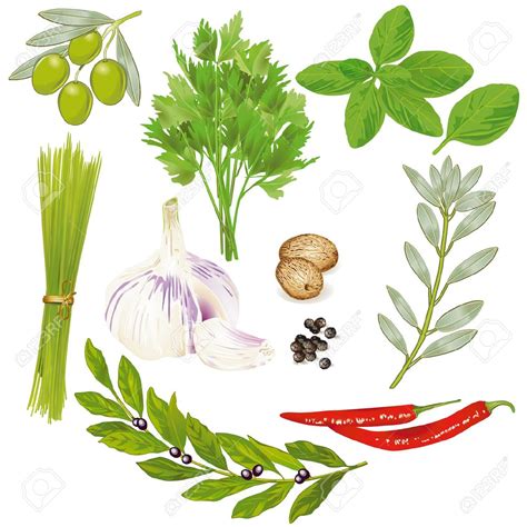Free Clipart Spices Herbs 20 Free Cliparts Download Images On