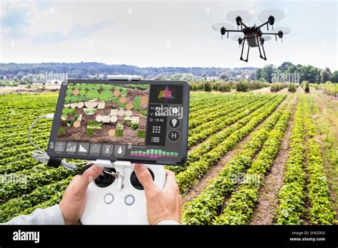 Modern Smart Farming Agriculture Technology At Farm Or Field Stock