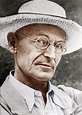 How Hermann Hesse became a hero of the Sixties counterculture