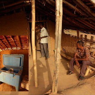 Monkeypox is a zoonotic disease caused by monkeypox virus (mpxv), which is a member of genomic variability of monkeypox virus among humans, democratic republic of the congo. Vaccinia virus, a representative poxvirus: virion ...