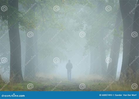 Mysterious Mood Stock Image Image Of Netherlands Person 60857493