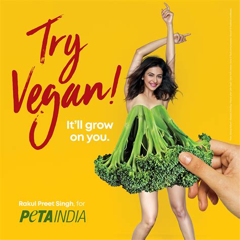 Reasons To Go Vegan This World Health Day Blog Peta India