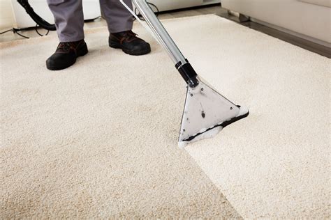 7 Benefits Of Professional Carpet Cleaning — Oksr Pro