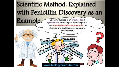 Steps Of Scientific Method Explained With Example Penicillin